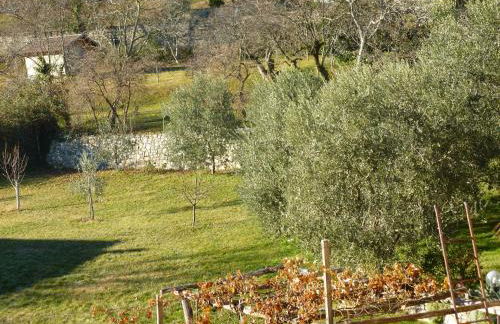 Casa Teodoro - Gelsomino, Ulivi & Orchidea - Foto 29