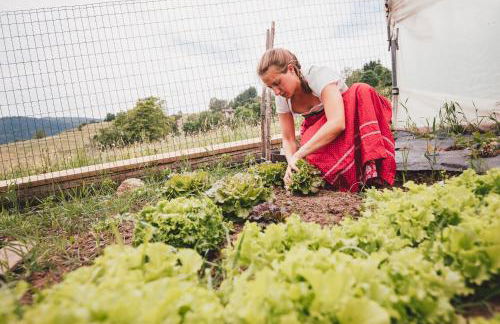 Agriturismo Maso Corradini - Foto 14