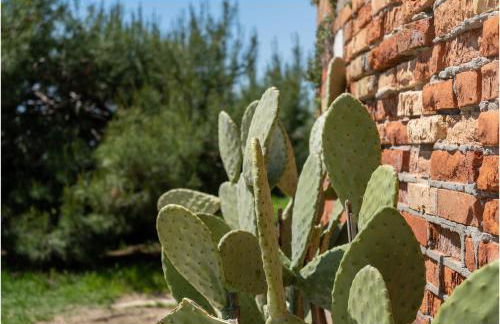 TIFFANY GOLD - Photo 32