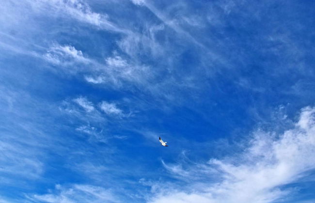 Marilyns Cottage - Photo 38