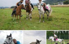 Domek Panorama - Foto 28