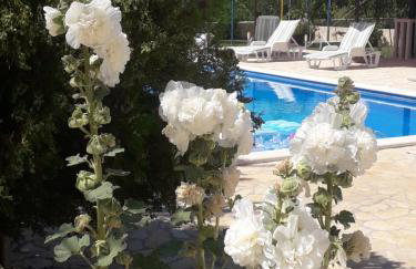 APARTMENTS ANA - Foto 10