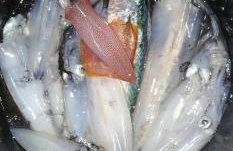 Apartment Nora - modern cozy apartment with FREE PARKING and TERRACE - Photo 55