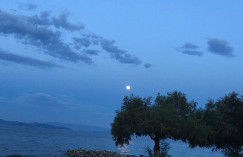 Eratous Seaside House - Foto 37