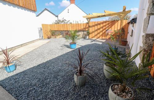 Toadstools - Foto 19