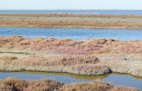 Nice Home In St Gilles - Foto 37