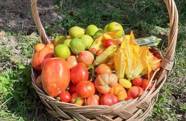 La Casa di Colle - Foto 33