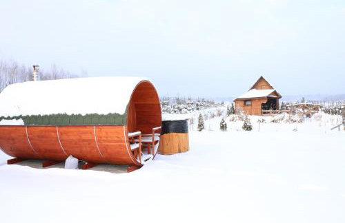 Dwór Na Otulinie - Foto 26