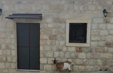 Masseria Marotta - Foto 4