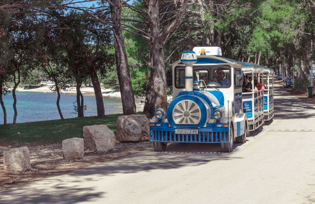 Mobilhome Villa Prestige - Foto 24