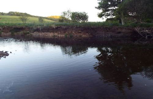 The Singing Heart, TirNaNog Cozy Cottage near Lochgilphead !!HIDDEN GEM!! - Foto 57