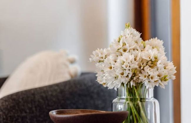 FIR Villa 3 Bedroom House Greenpoint - Foto 75