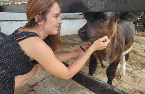 Flat 6-4A Hotel Monte Castelo Gravatá - até 3 quartos - Photo 13