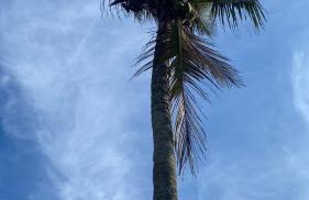 Residencial BelckFer Beach - Foto 6