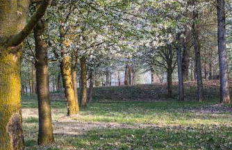 Agriturismo I Leprotti - Photo 41