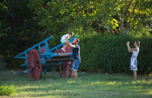 La Fattoria - Foto 12