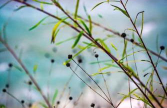 Villa La Jonche - Foto 63