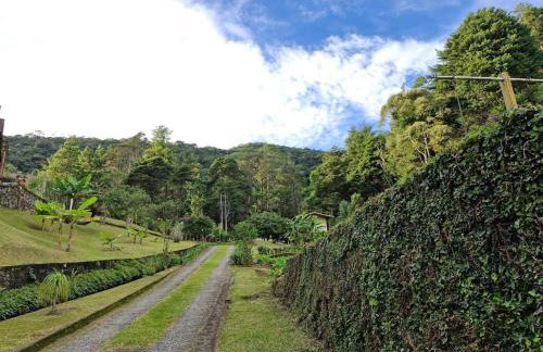 Chácara em Nova Friburgo (espaço inteiro) - Foto 12