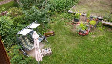 Kräuter-Heidi - Foto 5, Garden