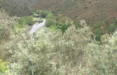 Quinta da Recochina - Photo 52