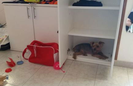 La Casa di Pamy - Foto 69