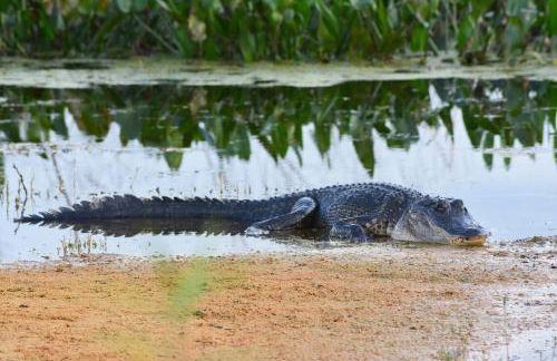 Fisherman's Get-A-Way - Foto 30