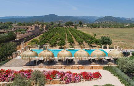 Cas Metge Matas - Foto 2