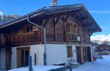 Vielyterra - Chalet haut de gamme - Domaine du mont blanc - Foto 6