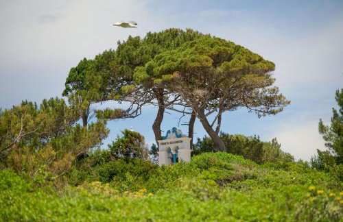 Thodoroulis - Foto 12