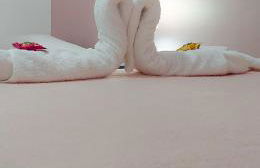 Casa no Renascença próxima Praias e Centro Histórico - Photo 44