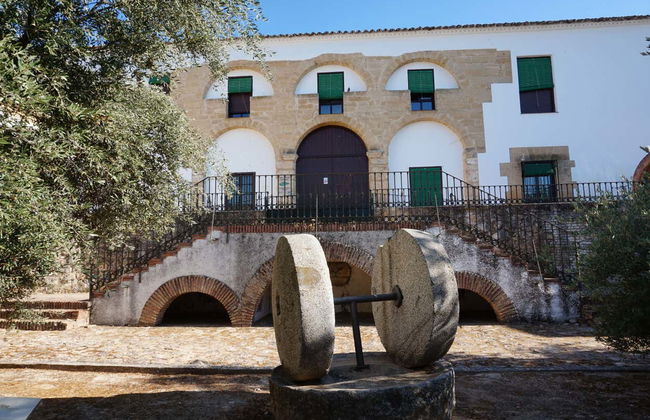 Visita guidata del Museo dell'Ulivo + Degustazione - Foto 2