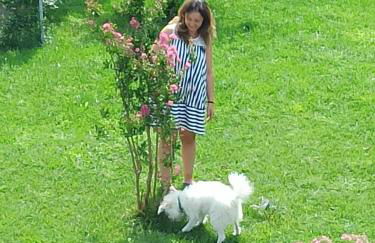 Assisi Sweet View - Photo 10