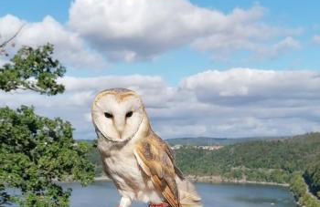 Maberg Ferienwohnung auf Scheid - Foto 22