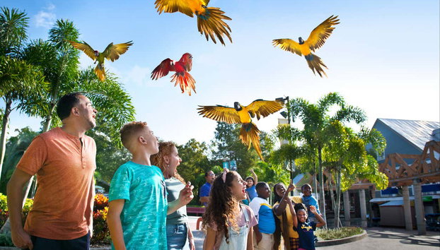 Ingresso do ZooTampa - Foto 4, Contemplando as aves do zoológico de Tampa