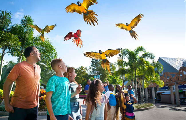 Entrada a ZooTampa - Foto 4