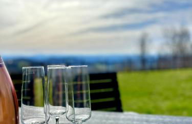 Gemütliches Alpenblick BERG-Bungalow + großer GARTEN + NETFLIX! - Foto 19