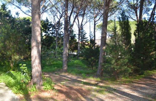 Vacanze Sardegna Mare San Giovanni Posada - Foto 33