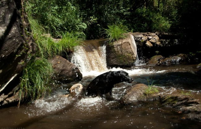 O Muíño de Pena Casa Rural - Photo 48