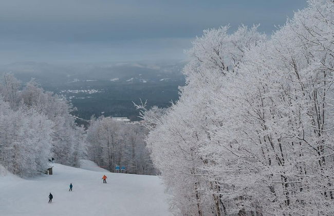 Le Coup de Coeur du Lac Sup Rieur Citq 313677 - Foto 35