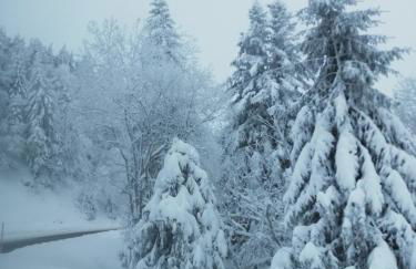 L'auvergnate - Foto 25