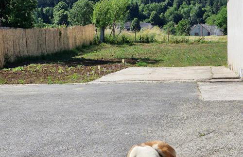 Vila Natasa Apartment 5 near Plitvice - Foto 26