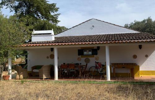 Courela da Anta - Foto 43