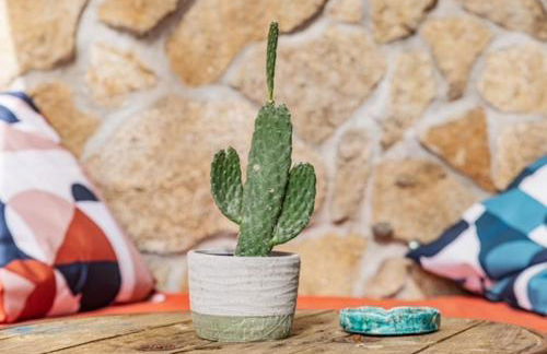 La Cabane du Huga N°2 - Foto 20