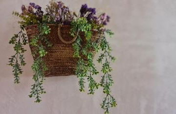 Entre Vistas - Foto 47