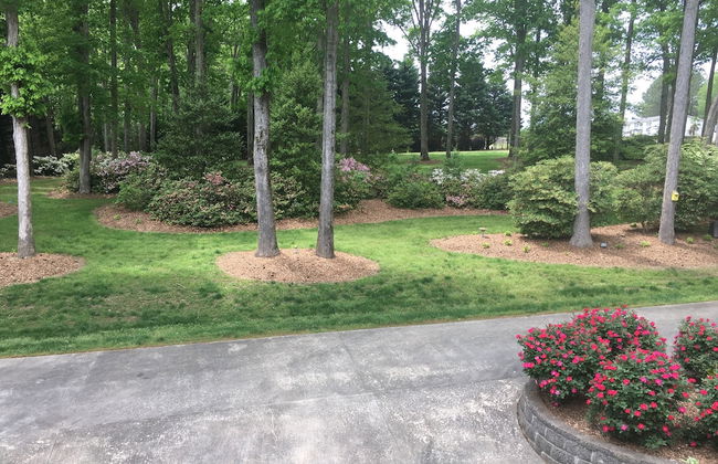 The Lakeside Resort - Foto 17