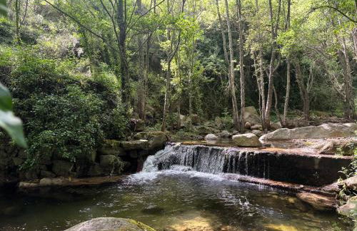 Luna de Gredos - Dormitorios con baño en suite - Foto 27