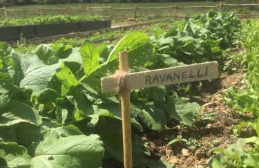 Wine Resort Conti di San Bonifacio - Foto 40