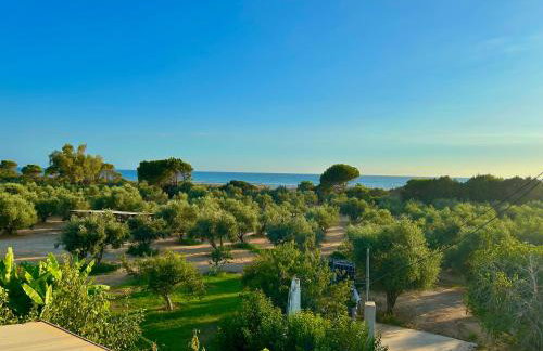 Ktima Βilioni - Foto 38