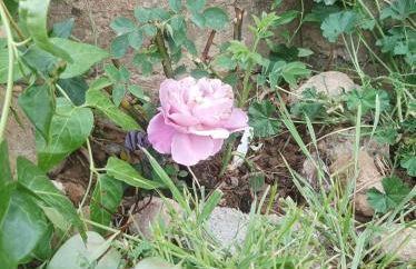 Apartamentos Rurales Rad Icarium - Photo 60