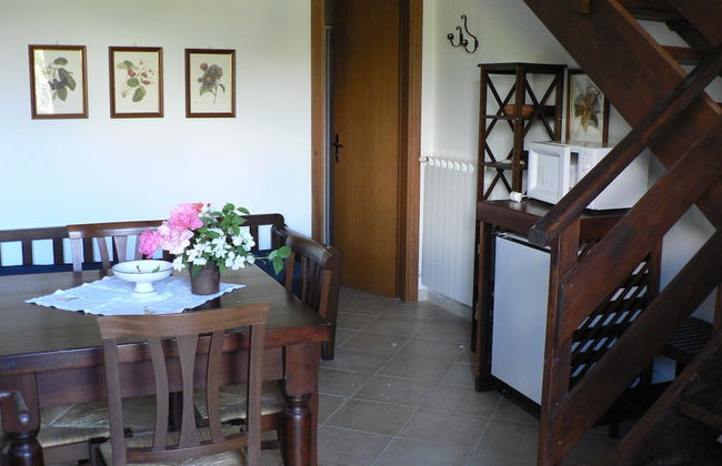 La Gabbianella e il Gatto - Foto 7